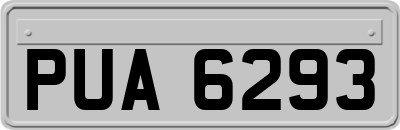 PUA6293