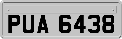 PUA6438