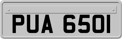 PUA6501