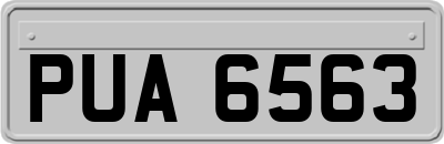 PUA6563