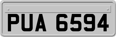 PUA6594