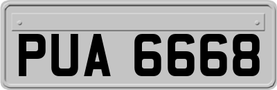 PUA6668