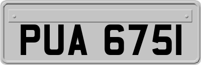 PUA6751