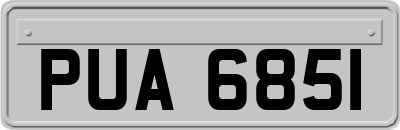 PUA6851