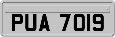 PUA7019