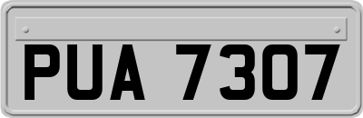 PUA7307