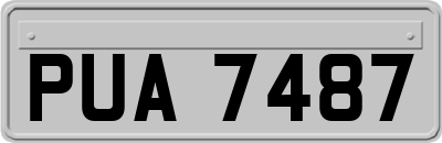 PUA7487