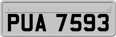 PUA7593