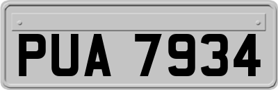 PUA7934
