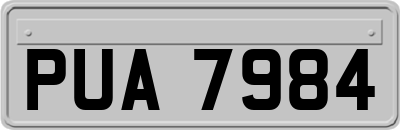 PUA7984