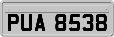 PUA8538