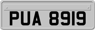 PUA8919