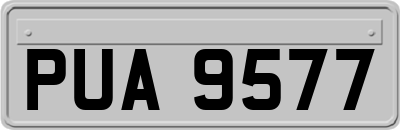 PUA9577