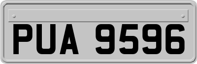 PUA9596