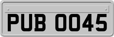 PUB0045