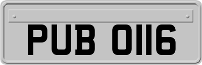PUB0116