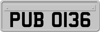 PUB0136