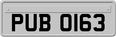 PUB0163