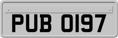 PUB0197