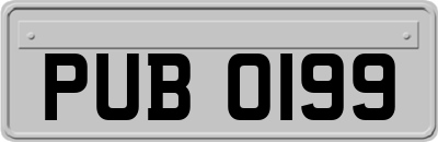 PUB0199