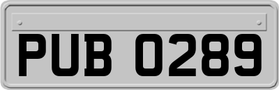 PUB0289