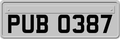 PUB0387