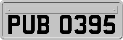 PUB0395