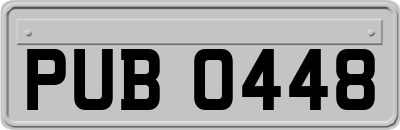 PUB0448
