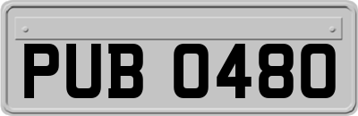 PUB0480