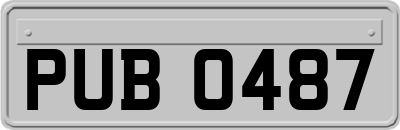 PUB0487