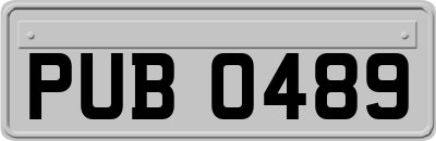 PUB0489