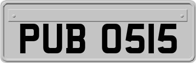 PUB0515