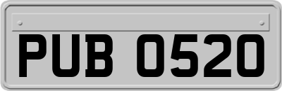 PUB0520