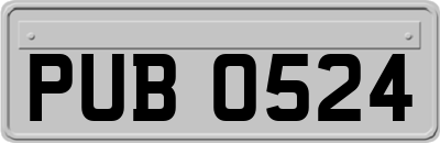 PUB0524