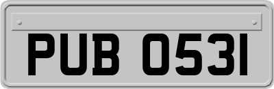 PUB0531