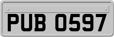 PUB0597
