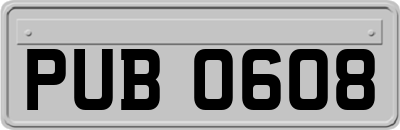 PUB0608