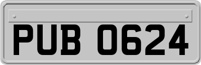 PUB0624