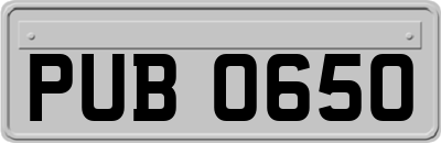 PUB0650