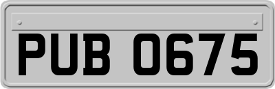 PUB0675