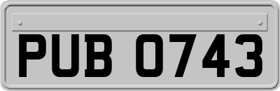 PUB0743
