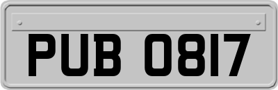 PUB0817