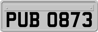 PUB0873