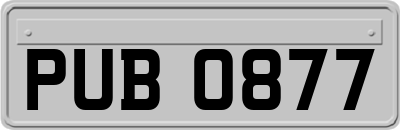 PUB0877
