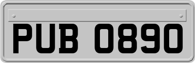 PUB0890