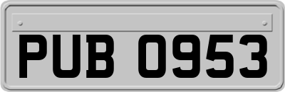 PUB0953