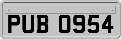 PUB0954