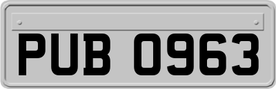 PUB0963