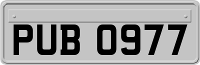 PUB0977