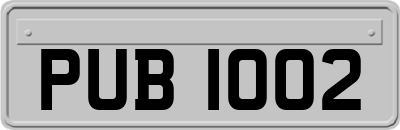 PUB1002